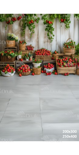 Tło fotograficzne 2861